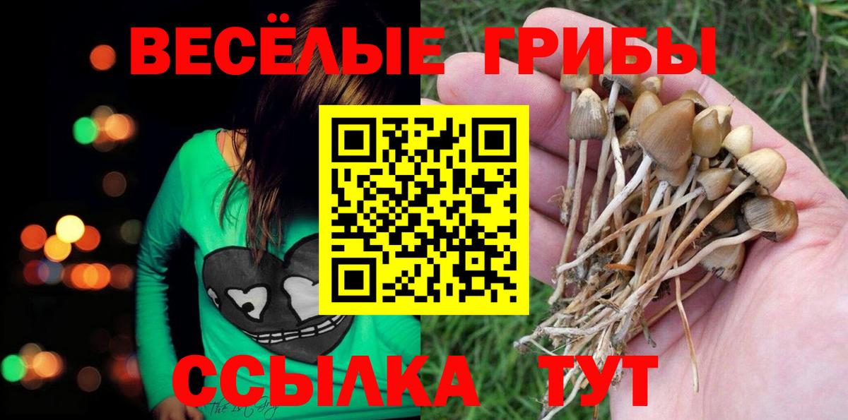 Псилоцибиновые грибы прущие грибы  Вход с VPN  Галлюциногенные грибы Cubensis  Оренбург 