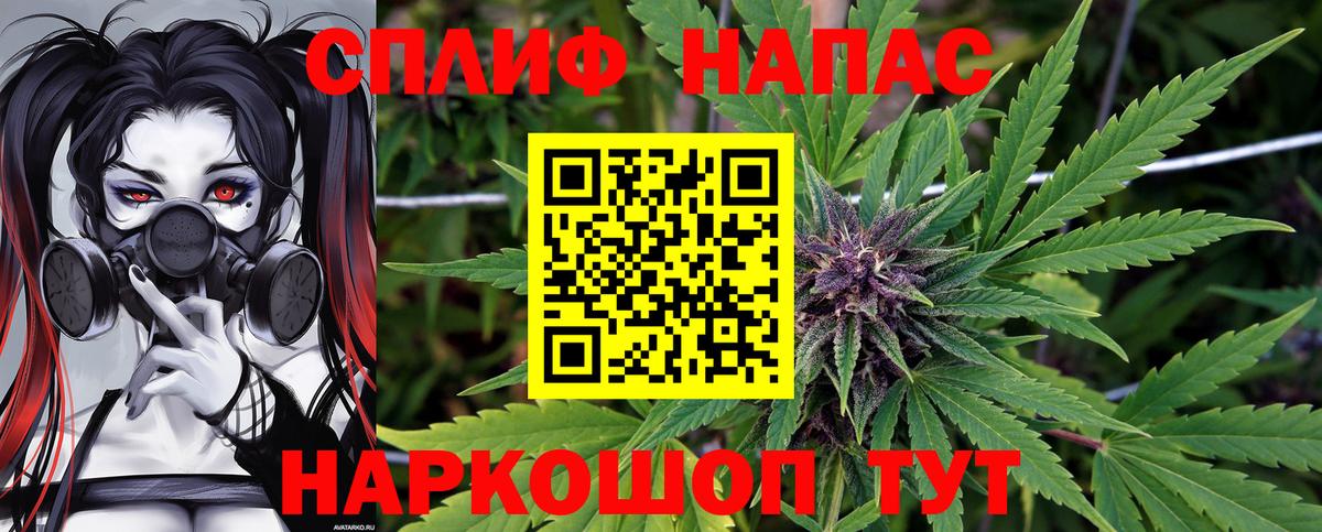Канабис гибрид Оренбург
